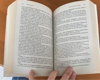 I Pilastri Della Terra