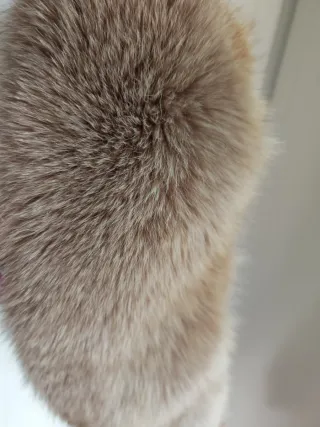 collare pelliccia