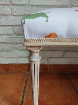 Banco scarpe design Cane scozzese Multicolore