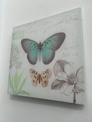 Cuadro Decorativo Mariposas