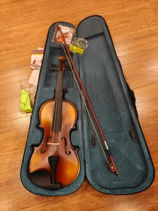 Violín con arco y funda