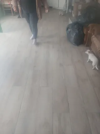 Servicios de reformas integrales