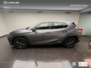 Lexus UX250h BUSINESS 2022 REF 8246