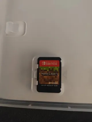 Minecraft Nintendo Switch