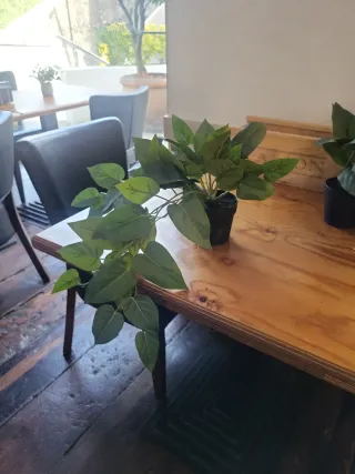 Planta artificial decorativa