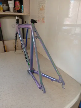 Cuadro de Bicicleta PRO-TEK SK.1 en aluminio