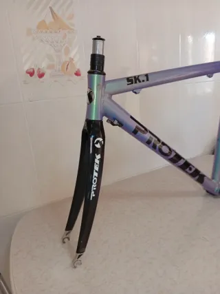 Cuadro de Bicicleta PRO-TEK SK.1 en aluminio