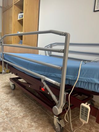 Cama articulada eléctrica con carro elevador