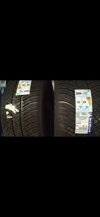 Neumáticos Michelin Alpin 255/45 R19