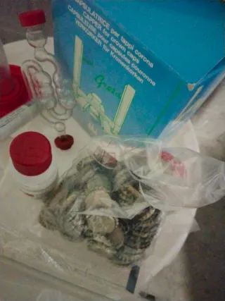 Kit elaboración cerveza