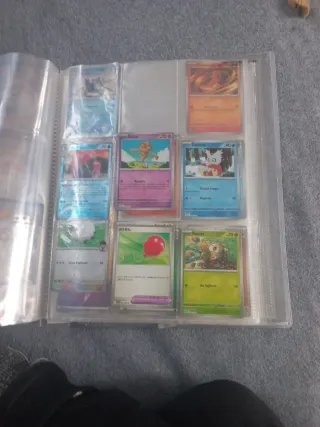 Carte Pokémon: Yveltal, Magikarp, ecc.