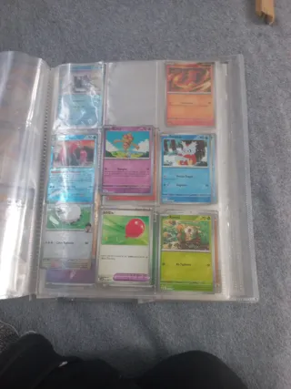 Carte Pokémon: Yveltal, Magikarp, ecc.