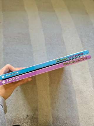 Lote 2 libros infantiles primeros lectores