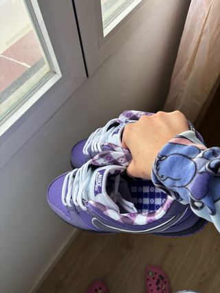 Nike Dunk Low Pro Purple Lobster
