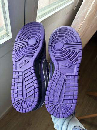 Nike Dunk Low Pro Purple Lobster