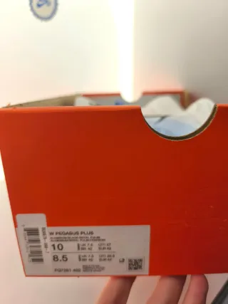 Nike Pegasus Plus Scarpe da Corsa Blu