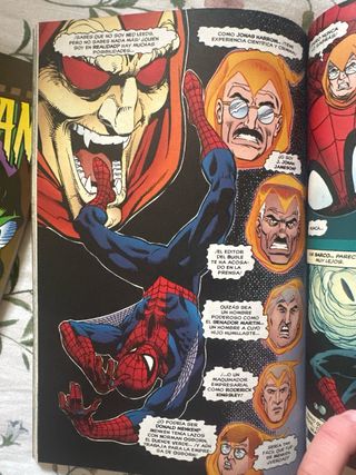 Lote cómics Spiderman Forum