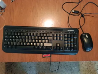 Teclado y Ratón Microsoft Negro