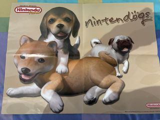 Póster Pokémon Edición Esmeralda