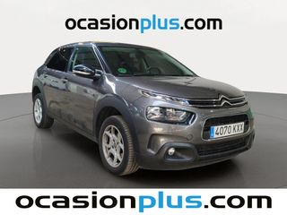 Citroen C4 Cactus BlueHDi 100 S&S Feel 73 kW (99 CV)