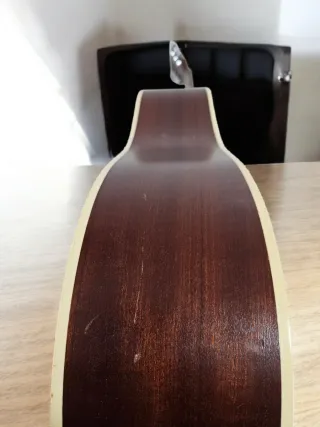 Guitarra Electroacústica Parkwood S26 GT