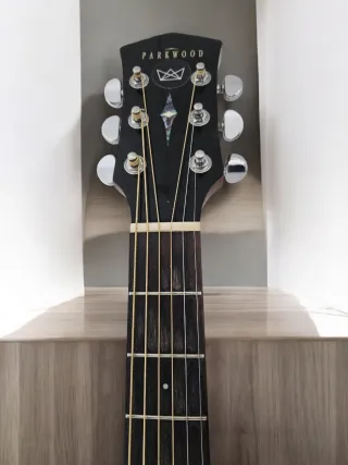 Guitarra Electroacústica Parkwood S26 GT