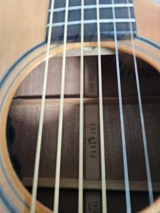Guitarra Electroacústica Parkwood S26 GT