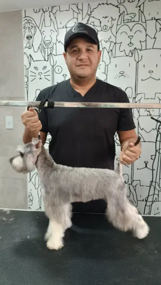 Consiente a tu mascota
