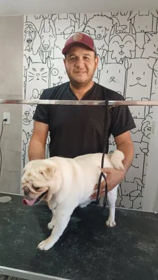 Consiente a tu mascota