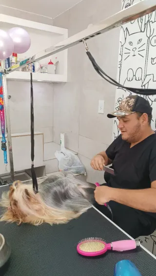 Consiente a tu mascota