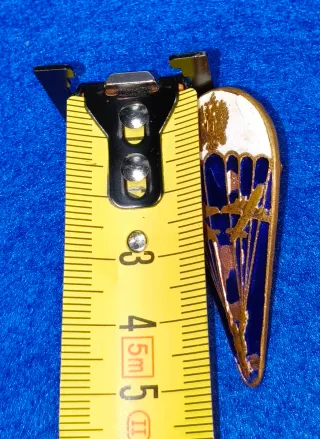 Insignias y pins de paracaidismo
