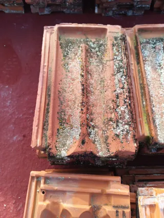 Tejas planas alicantinas