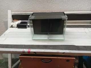 Acuario para dos peces