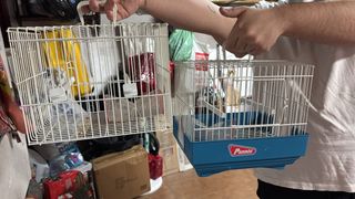 Jaula para pájaros Pedros