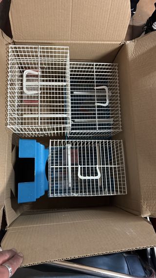 Jaula para pájaros Pedros