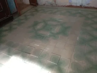 Baldosas hidráulicas verdes