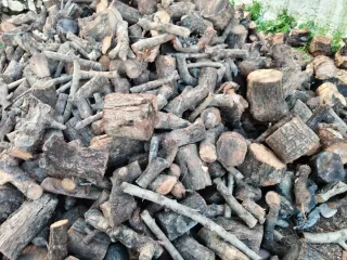 Leña de almendro seca