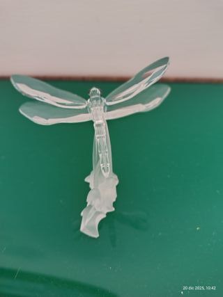 Libellula Swarovski 190264 2006 cm 7