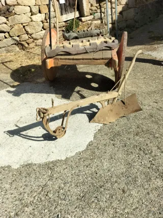 Carro de vacas antiguo