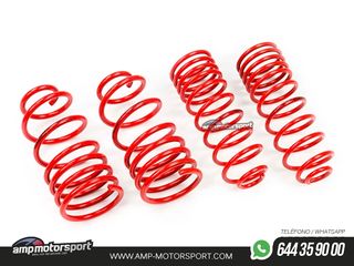 MUELLES DEPORTIVOS MTS TECHNIK MTSXVW282