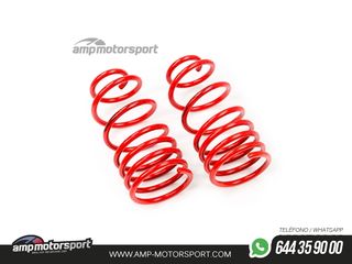 MUELLES DEPORTIVOS MTS TECHNIK MTSXPO006