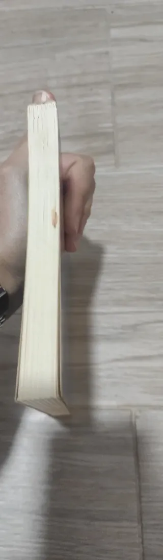 Libro El príncep de la boira català 2001