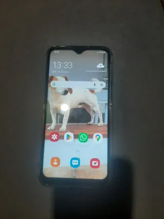 Samsung Galaxy A10 Negro Seminuevo con Protector