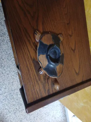 Statua tartaruga intagliata a mano in ebano