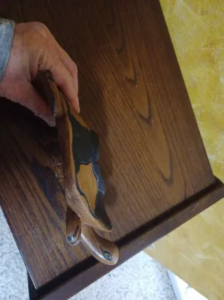 Statua tartaruga intagliata a mano in ebano