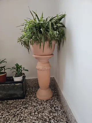 Macetero de ceremica con planta