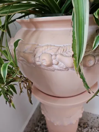 Macetero de ceremica con planta