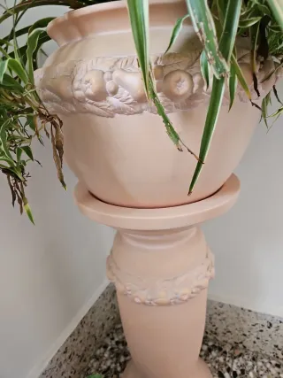 Macetero de ceremica con planta