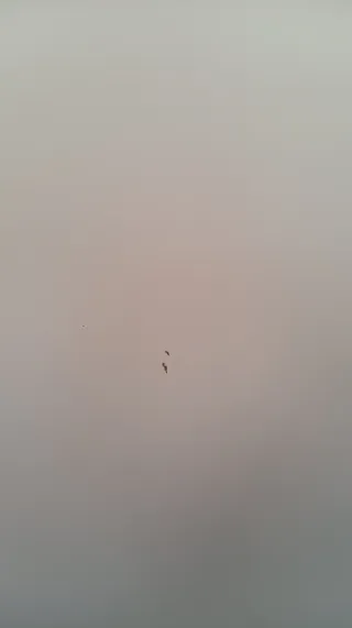 Tablero Lagkapten Ikea Blanco 140cm