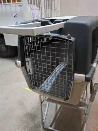 Transportín rígido, para mascotas medianas.
